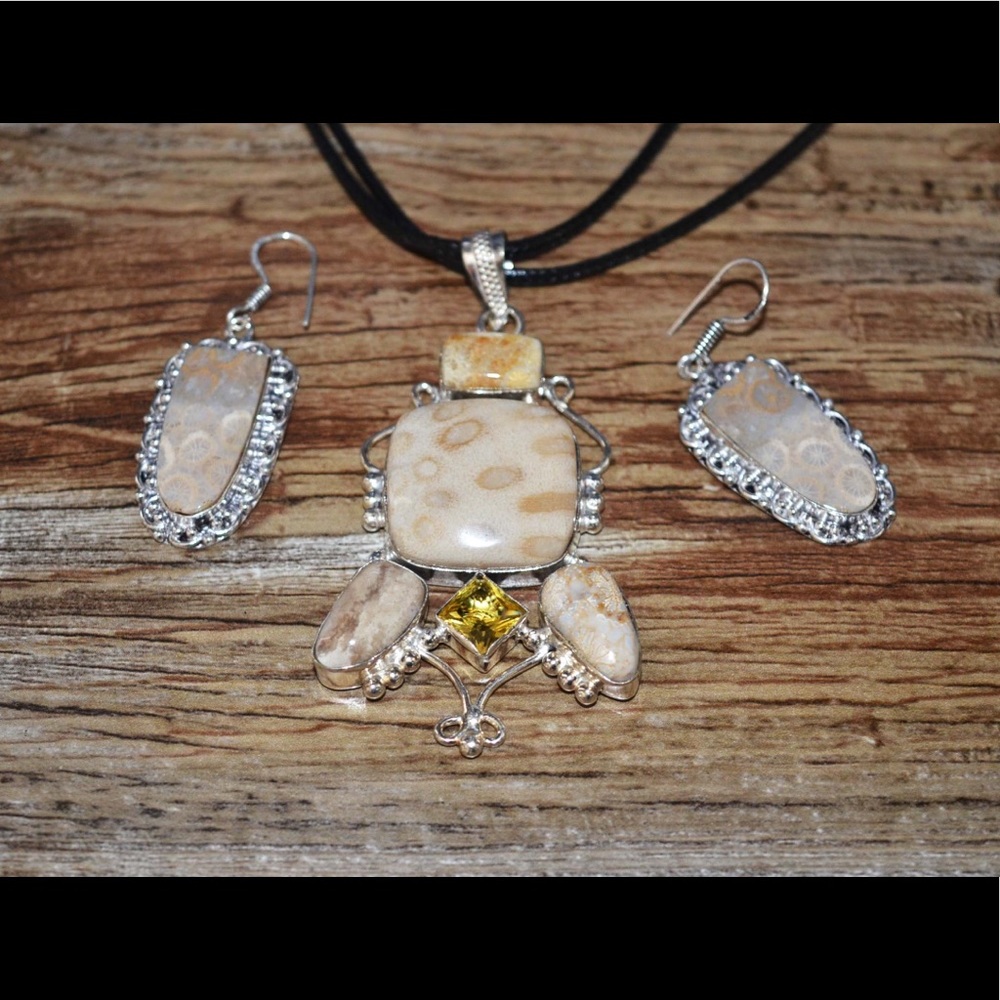 Agatized Fossil Coral Pendant & Earrings Set